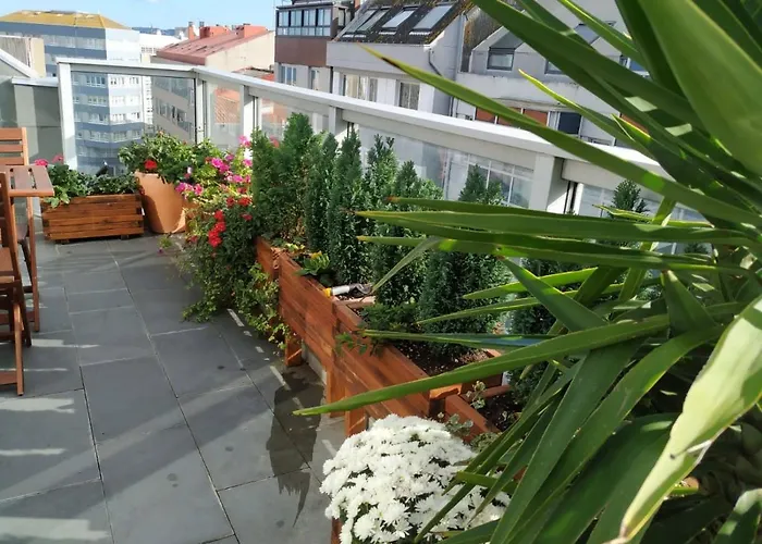 Penthouse With Terrace And Views Near Oza's